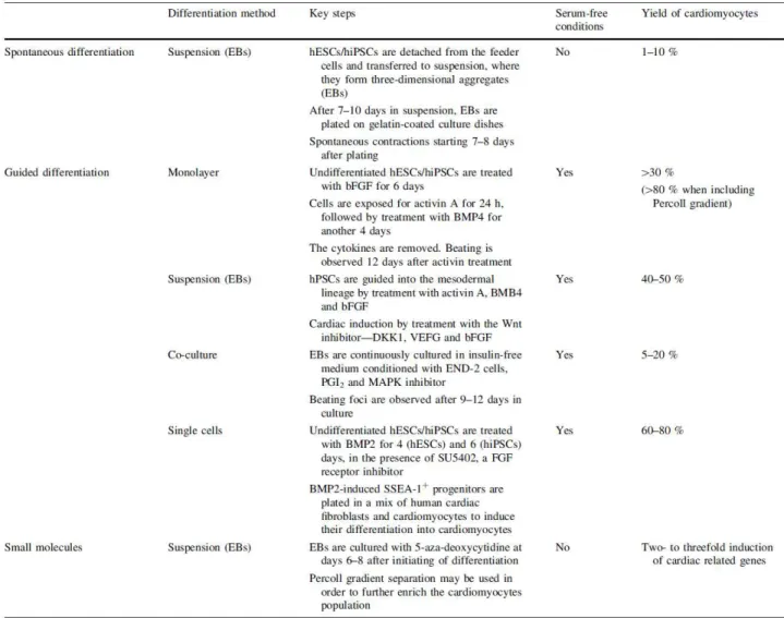 Table 1.6: Different approaches for hPSC differentiation towards CMs (Zwi-Dantsis and Gepstein, 2012)