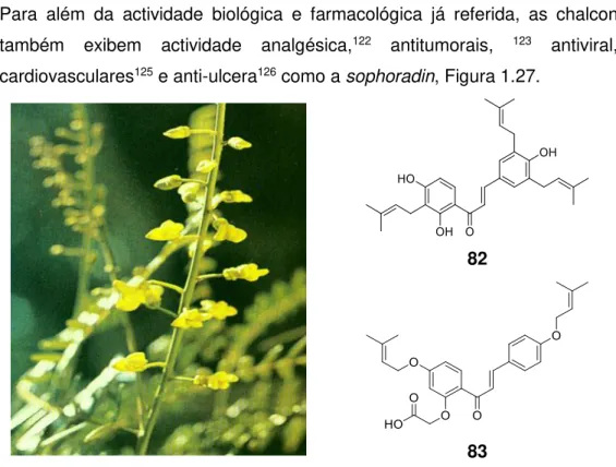 Figura 1.27  –  Sophoradin (82) é um tipo de chalcona 127  encontrada na Sophora  tonkinensis  (erva  medicinal  chinesa)