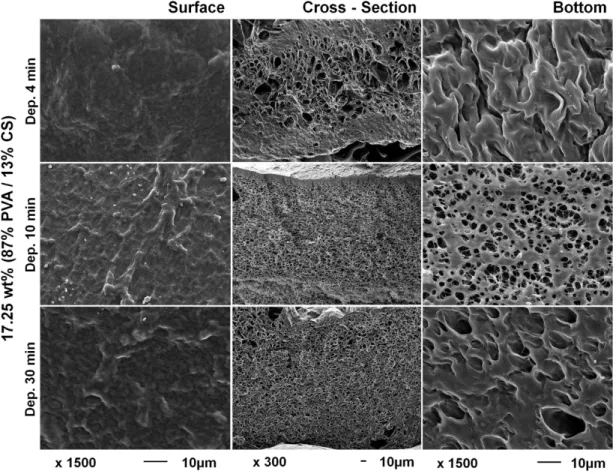 Figure  2.2. Scanning  electron  micrographs  of  17.25  wt%  (87%  PVA  /  13%  CS)  membranes  surface,  cross-section and bottom obtained with depressurization rates of 4, 10 and 30 min