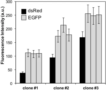 Figure  7.  Comparison  of  reporter  expression  levels  in  tagged  and  target  clones
