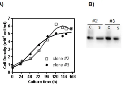 Figure  8.  Cell  growth  and  EGFP  production  of  target  clones.  A)  Cell  density  profiles  of  sub-clones  derived from parental clones #2 and #3