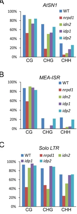 Figure 4. Effect of idp1 and idp2 on DNA methylation. (A–C) Effect of idp1 and idp2 on the DNA methylation of AtSN1, MEA-ISR, and Solo LTR was determined by bisulfite sequencing