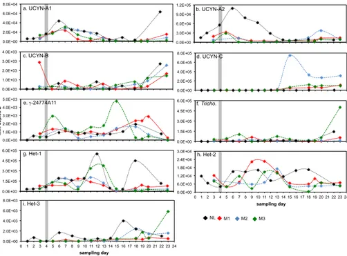 Figure 1. Abundances of diazotroph phylotypes at 6 m depth during the VAHINE mesocosm experiment and in the Noumea lagoon (NL) during the experimental period
