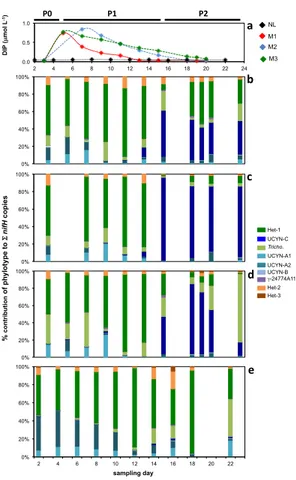 Figure 2. Diazotroph community composition at 6 m depth during the VAHINE mesocosm ex- ex-periment and in the Noumea lagoon (NL) during the exex-perimental period