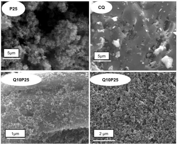Figure 4.2 - SEM micrographs of the studied photocatalysts. 