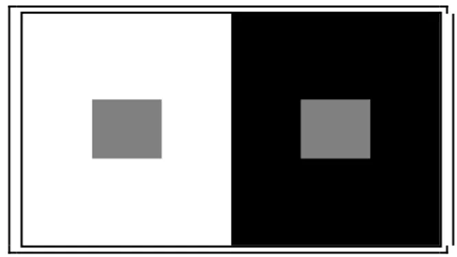 Fig. 1:  Demonstration  of  simultaneous  brightness  contrast  in  the  two  test  patches,  so  that  test  patches  of  the  same  gray  scale  values  are  perceived  brighter  or  darker  i.e.,  in  opposite  direction of their background brightness 