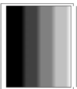 Fig. 3: Demonstration  of  Mach  bands  in  a  horizontally  trapezoidal  stimulus:  The  illusory  bright  and  dark bands are clearly visible  