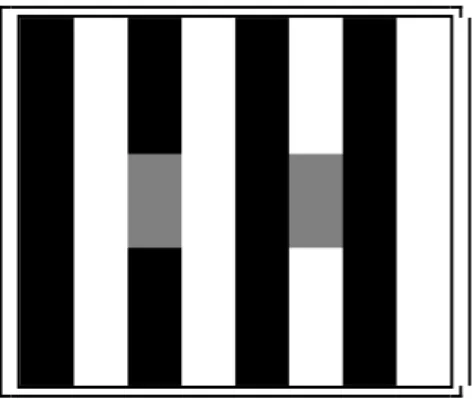 Fig. 6:  The  White  effect  remains  evident  even  at  a  lower spatial frequency 