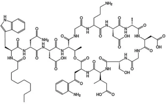 Figure 1.7  –  Structure of daptomycin.
