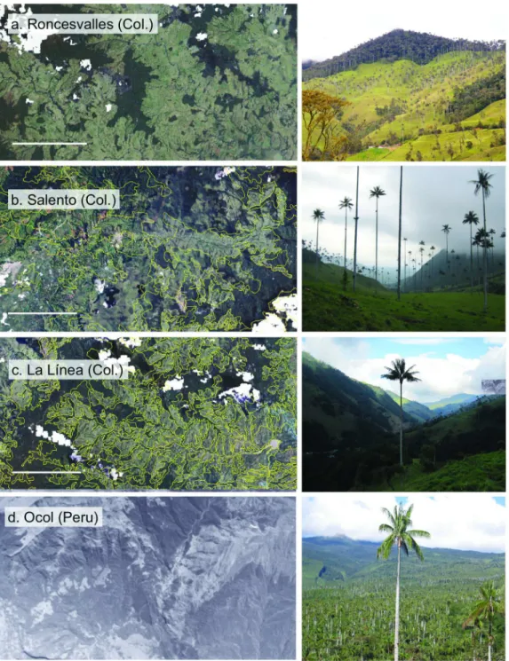 Figure 2.  Satellite images and general sceneries revealing patterns of deforestation at each studied site