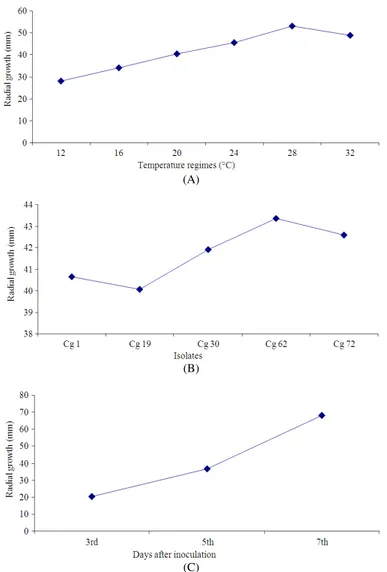 Fig. 3.  (A)  Radial  growth  of  Colletotrichum  gloeosporioides  on  different  temperature  regimes  (B)  Radial  growth  of  different  Colletotrichum  gloeosporioides  isolates  under  different  temperature  regimes  (C)  Radial  growth  of  Colletot