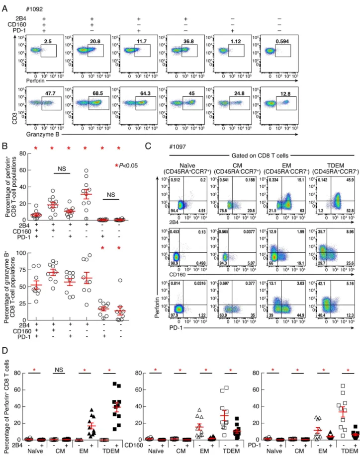 Figure 7. Expression levels of perforin and granzyme B in CD8 T-cell subsets defined by the expression of 2B4, CD160 and PD-1.