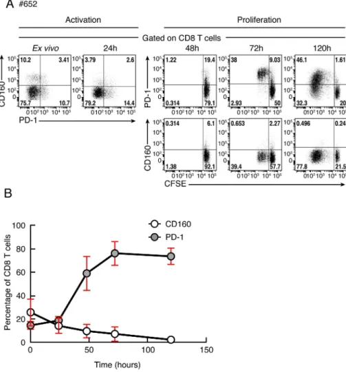 Figure 10. Kinetic of CD160 or PD-1 expression on CD8 T cells stimulated upon T-cell stimulation