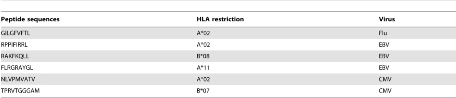Table 1. Sequences of peptides used for CD8 T-cell stimulations and multimer staining.