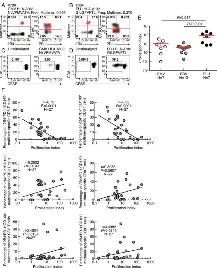 Figure 2. CD160, but not PD-1 and/or 2B4 expression inversely correlates with CD8 T-cell proliferative capacity