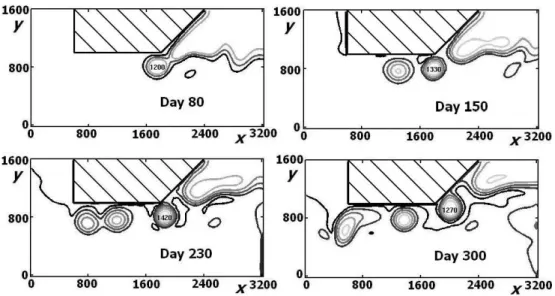 Fig. 6. Upper layer thicknesses for the case of a Concave I coastline with a modest kink (midsize γ ) and a current with high upstream vorticity ( γ =45 ◦ , α = 1, h 0 = 300 m, ν = 700 m 2 s −1 , and β = 6 × 10 −11 m −1 s −1 )