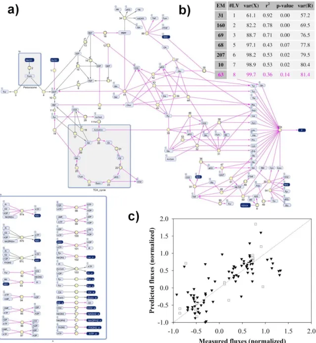 Figure 2.5  –  Functional enviromics of a P. pastoris X-33 strain expressing a scFv antibody: a)  metabolic network, b) subset of elementary modes with highest correlation with the environmental variables