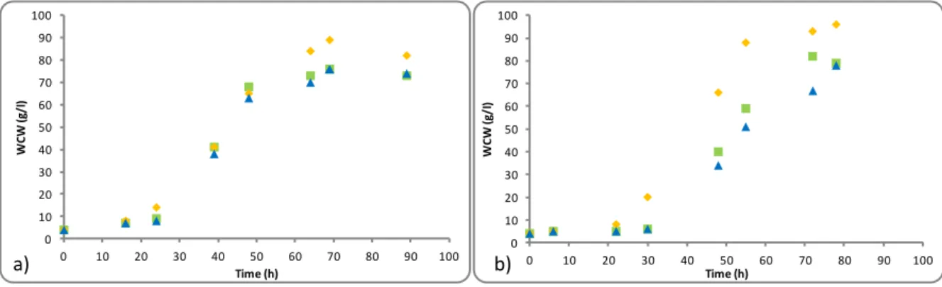 Figure 2.1- Wet cell weight (WCW) profile over time in the shake flask assays, for strains (a) K