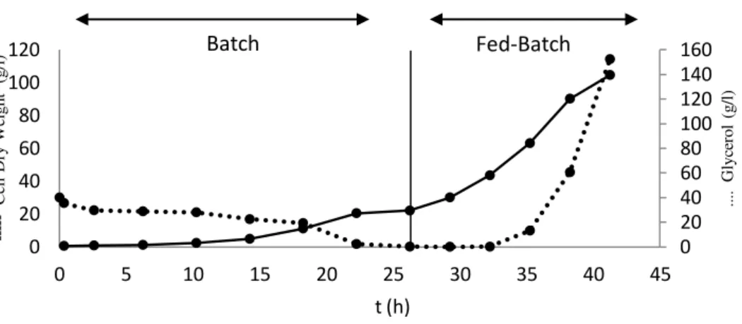 Figure 2.2-  Evolution of  biomass production (CDW)  and glycerol  concentration (g/l)  during batch and  fed-batch phases of the bioreactor cultivation of K