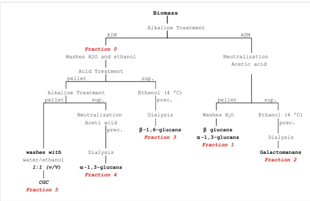 Figure 3.2- Diagram of the process of extraction of cell wall constituents of yeast .  