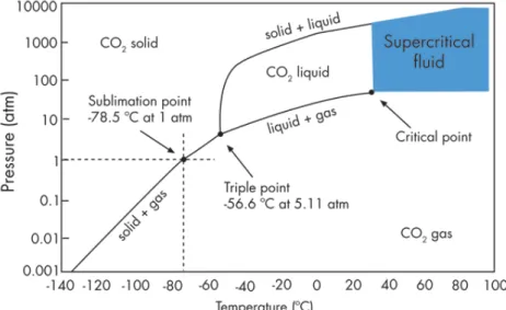 Figure 1.9 –  Carbon dioxide pressure-temperature phase diagram. 