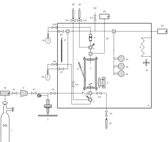 Figure 2.1 - Schematic representation of the VLE apparatus. 