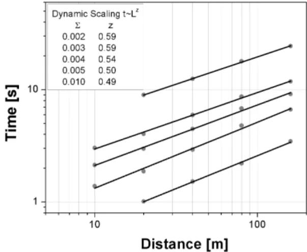 Fig. 4. Evidence of dynamic scaling in the standard deviation of 1lnI i,t (L, t ) (Eq