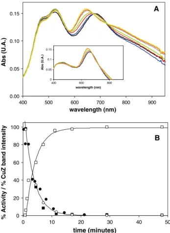 Fig. 4 Rate constant of the inactivation process detected by electro- electro-chemical experiments versus pH