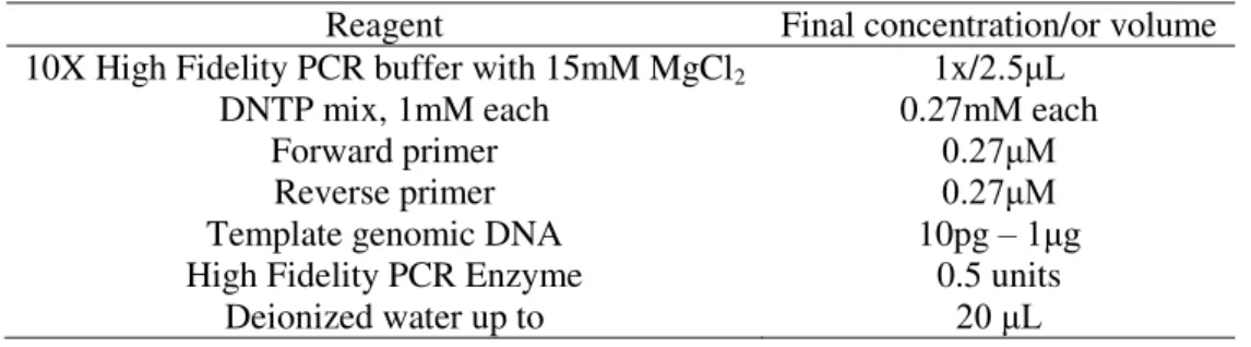 Table  II.  2.  The  PCR  protocol  for  morR  gene  amplification.  The  PCR  mixture  was  designed  for  a  total  reaction volume of 20 µl