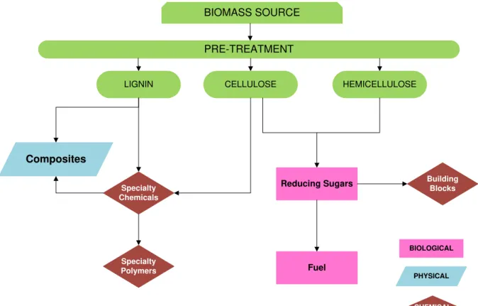 Figure 1.1 Conceptual biomass biorefinery (adapted from  4 ). 