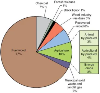 Figure 1.2 Share of biomass sources in the world. 6   