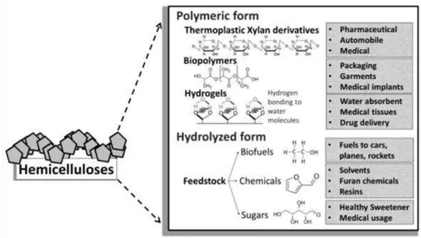 Figure 1.6 Applications of hemicellulose derivatives (adapted from  16 ) 