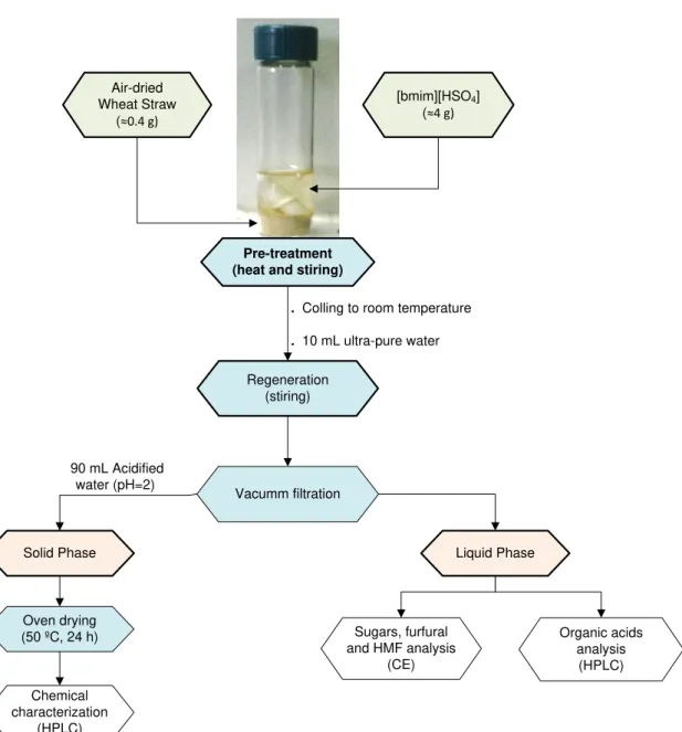 Figure 3.1 Schematic representation of the pre-treatment method 