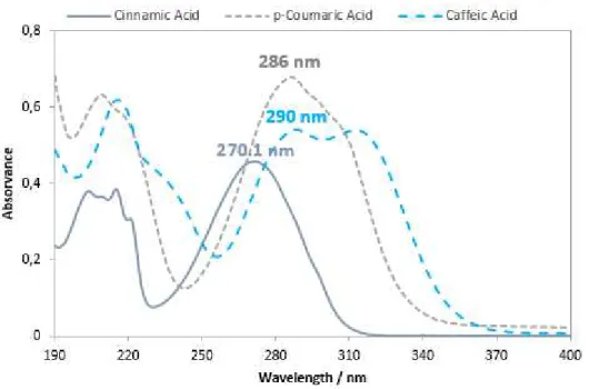 Figure 3.4  –  Spectras of cinnamic, p-coumaric and caffeic acids in water at room temperature