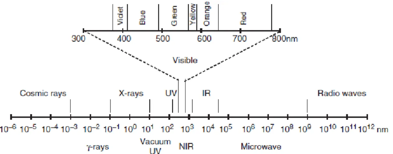 Figure 2.1. Electromagnetic spectrum (Thomas &amp; Theraulaz, 2007) 
