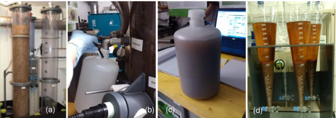 Figure 3.4. Sample Collection and Decantation steps: (a) Nitrification reactor; (b) Urine  sampling (c) Urine plastic container; (d) Imhoff cones 