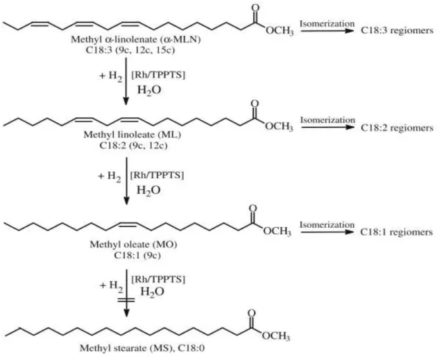 Figure 1.5 - Selective hydrogenation of polyunsaturated methyl esters of linseed (MELO), sunflower (MESO)  and soybean oils (MESBO) (Bouriazos et al