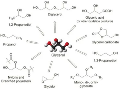 Figure 1.7 – Glycerol possible derivatives 