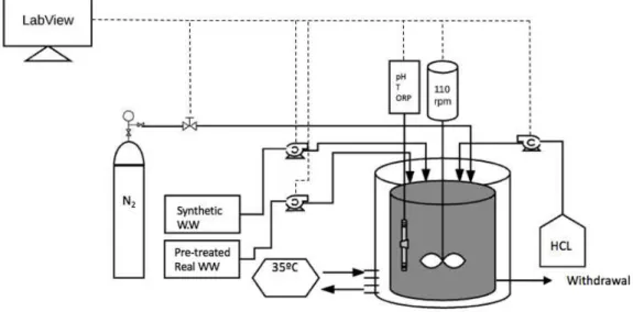 Figure 7 - Schematic representation of the Anammox SBR system (Lucidchart software) 
