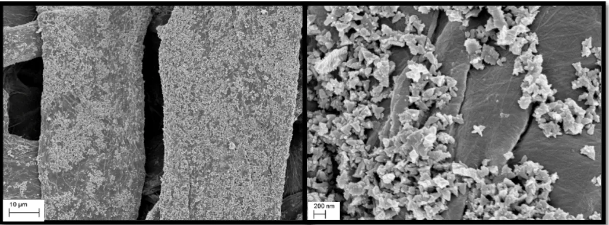 Figura 10 Filtro impregnado com nanopartículas de óxido de zinco, analisado por microscopia  eletrónica de varrimento