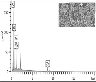 Figura 11 Análise por espetroscopia dispersiva de raios X do filtro de café impregnado com  nanoprtículas de óxido de zinco
