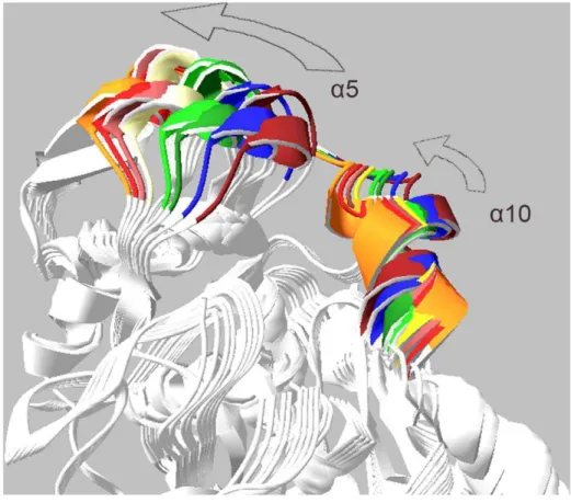 Figure 13. Structure snapshots of normal mode analysis. Superimposed snapshots of the structure extracted from normal mode analysis.