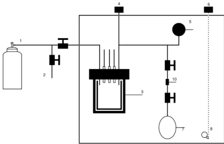 Figure 2.3 - Calibration of High Pressure facility, reactor sector; (1) Argon inlet; (2) Argon output and vacuum  line; (3) Reactor; (4) Digital Pressure Meter; (5) Precision Digital Pressure Meter; (6) Digital Temperature Meter; 