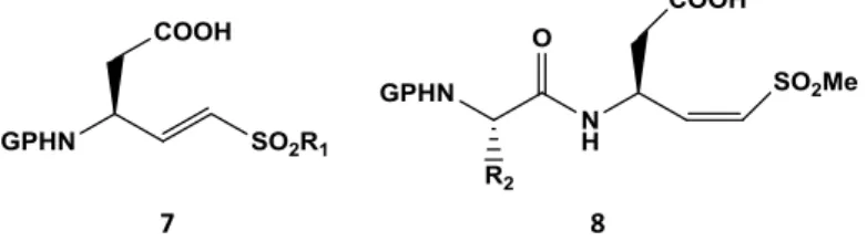 Figura 1.5. Exemplo genérico das drogas sintetisadas pelo grupo de Park et al.  