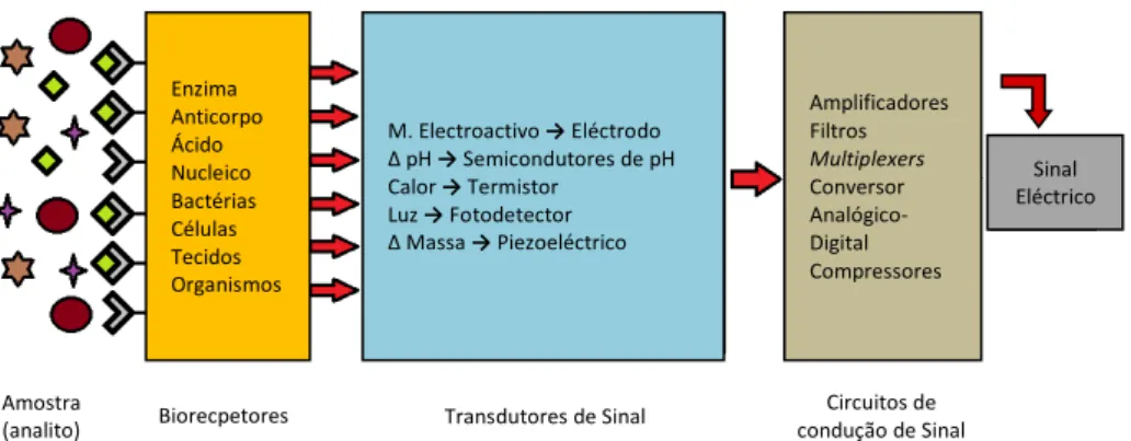 Figura 1.2: Componentes de um biossensor, adaptado [15] 