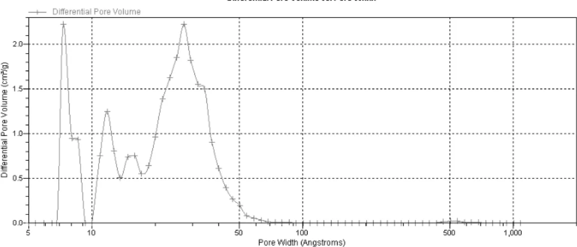 Figure 3.7 - Pore size distribution obtained from DFT Method for ANGUARD 6. 