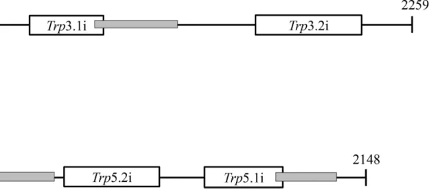 Fig 3. Position of the fragments used to induce RNA interference in TRP3 and TRP5. The numbers and black lines represent the coding region of TRP3 and TRP5