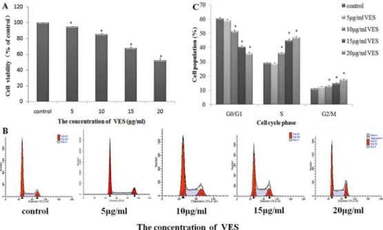 Fig 1. Inhibition of gastric cancer cell SGC-7901 viability by VES. (A) Incubation of VES for 24 h decreased cell viability in a concentration-dependent manner as determined by MTT assay in SGC-7901