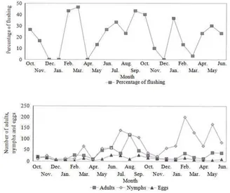 Fig. 4:  Seasonal  abundance  of  Diaphorina  citri  population  in  relation  to  flushing  cycle  and  climate 