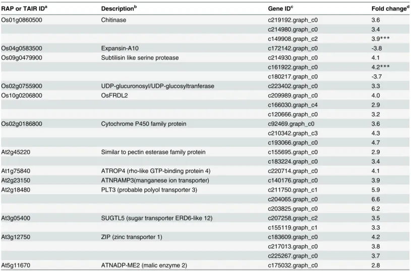 Table 4. Comparison of expression profiling between STOP/ART-regulated genes in rice or Arabidopsis and corresponding genes in hydrangea roots.